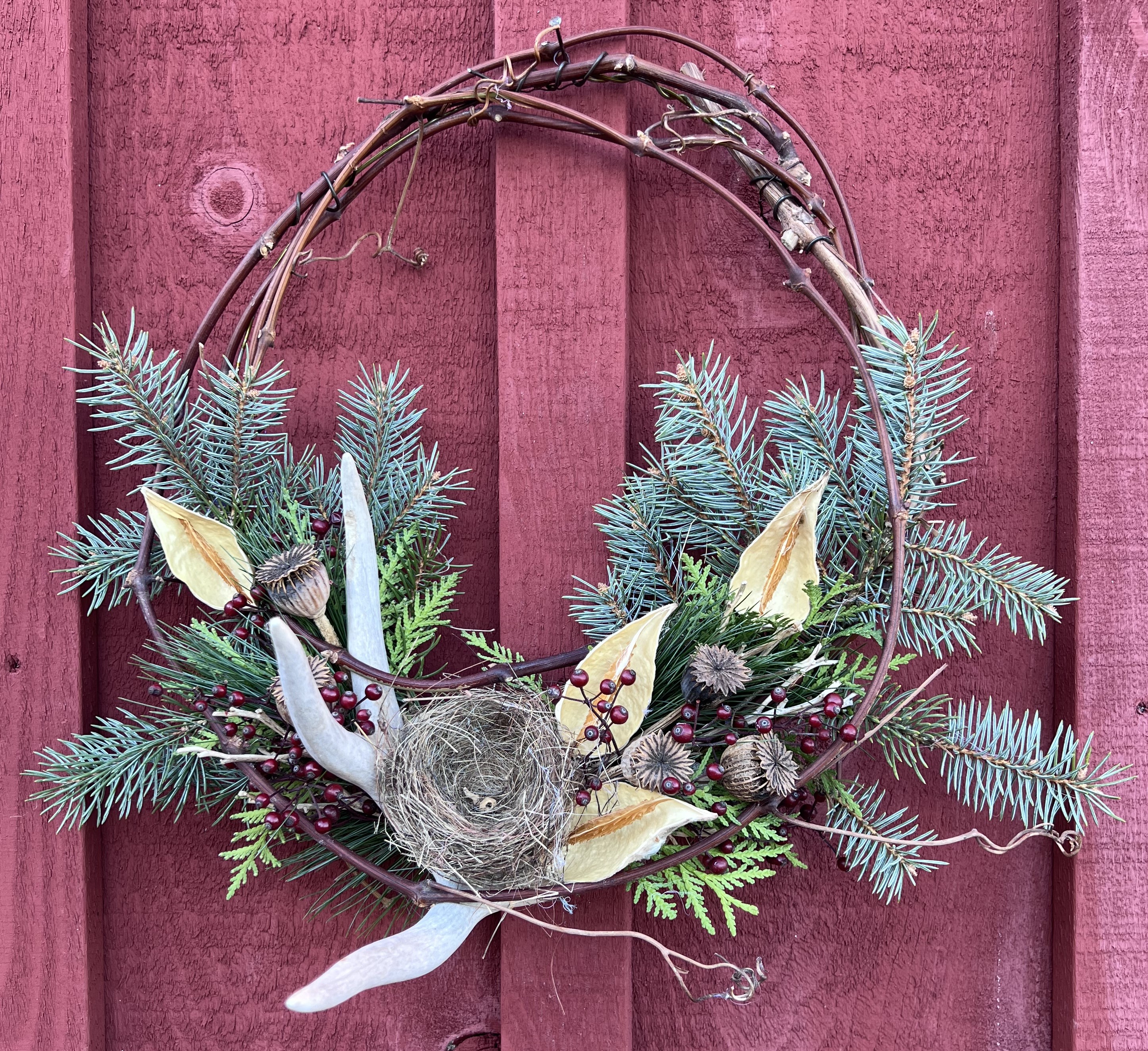 Wreath made with grapevine, various pine cuttings, an antler, a nest, weeds & berries